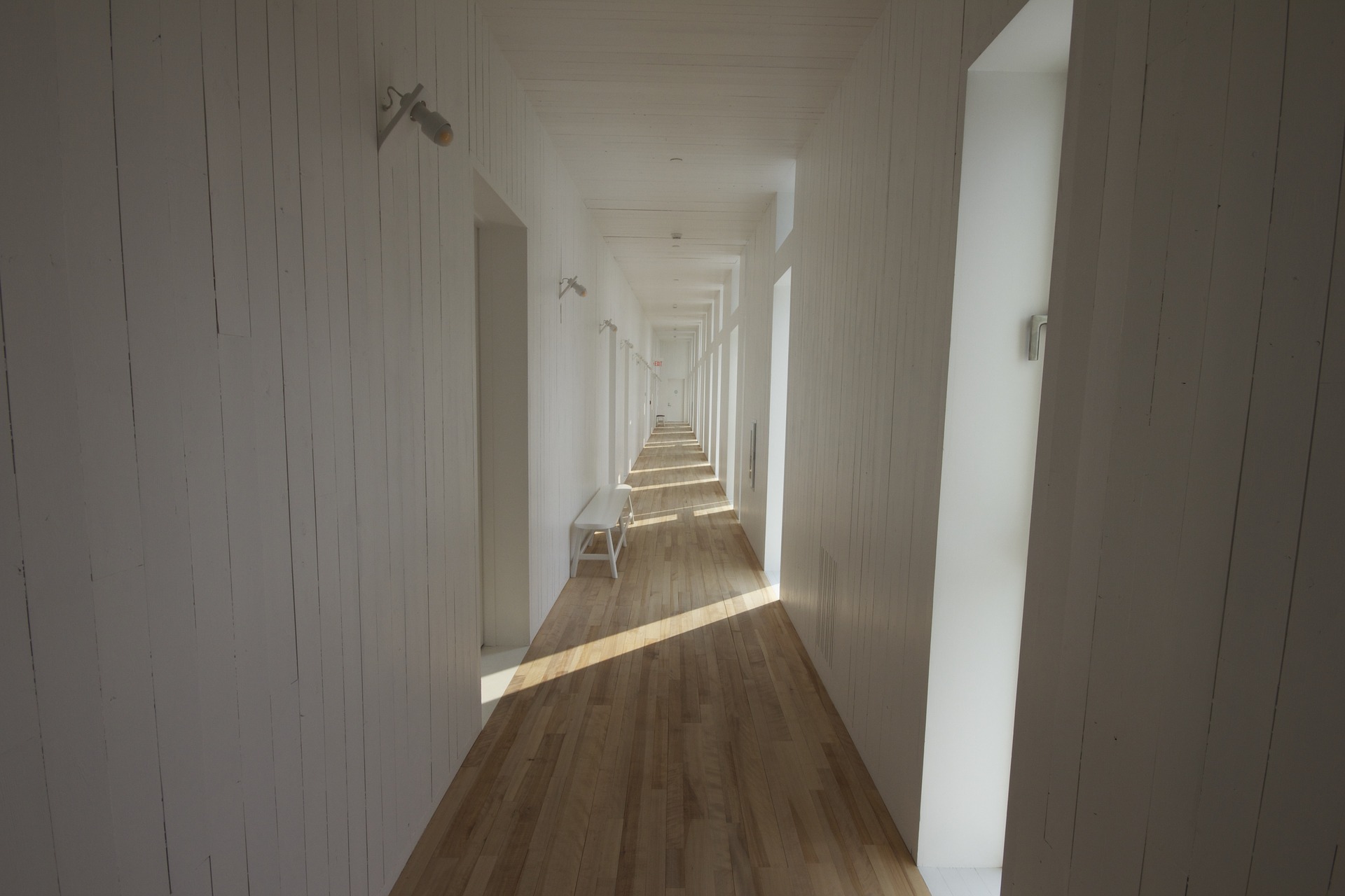 Entrée de maison — allée et façade — ambiance chaleureuse et végétalisée