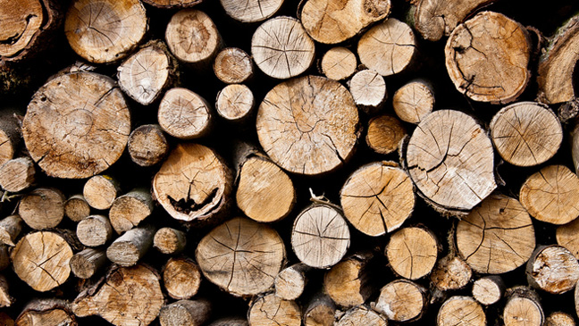 parquet bois ecologie durable